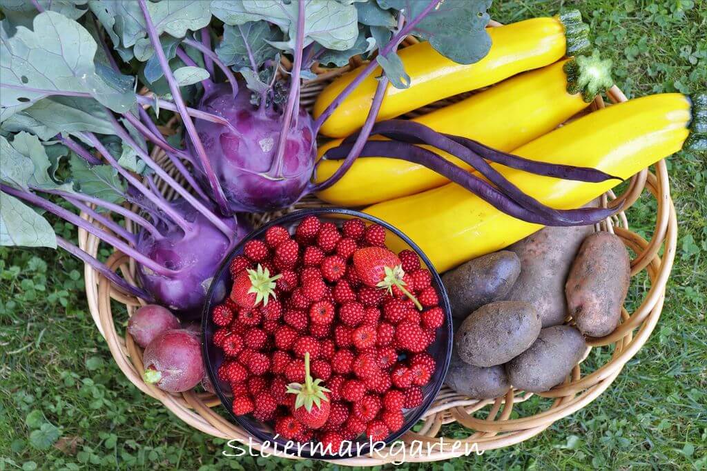 You are currently viewing Gemüseanbau – 5 Tipps für eine ertragreiche Ernte