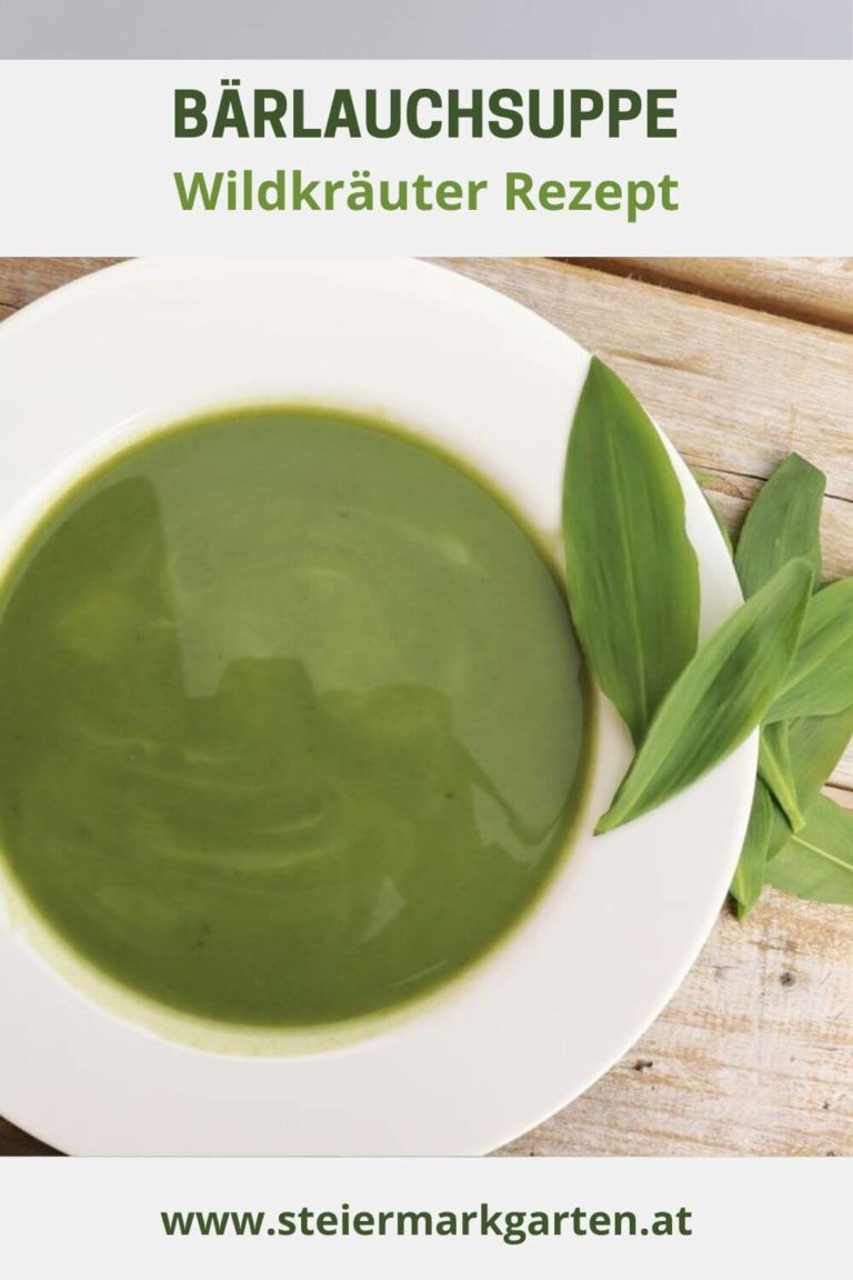 Bärlauch Rezepte: Butter, Pesto, Suppe - Steiermarkgarten