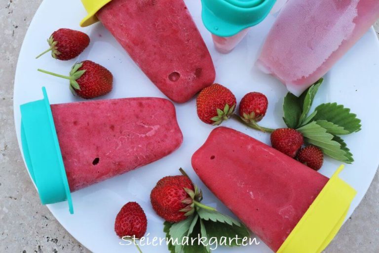 Beeren-Eis am Stiel selber machen - Steiermarkgarten Beeren-Eis am Stiel selber machen - Steiermarkgarten