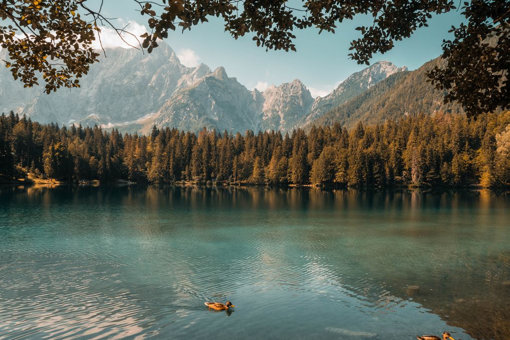 See-Berge-Kraftort-Steiermarkgarten