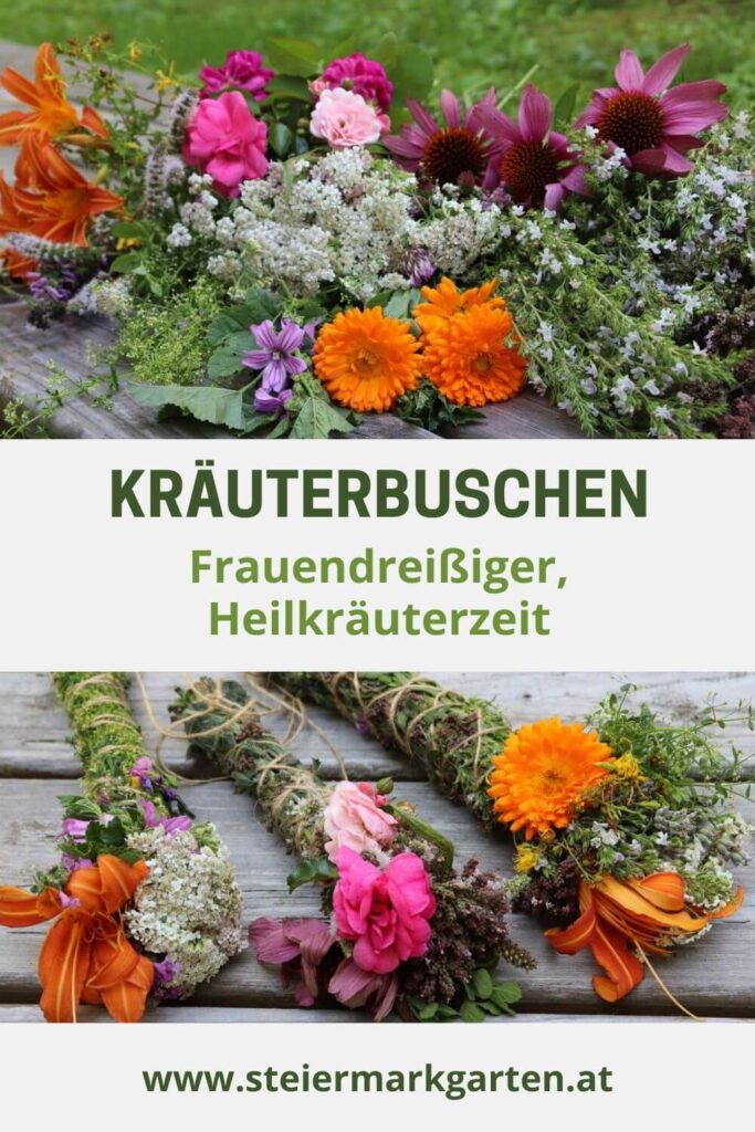 Kraeuterbuschen-Kraeuterbuendel-Frauendreissiger-Heilkraeuterzeit-Pin-Steiermarkgarten